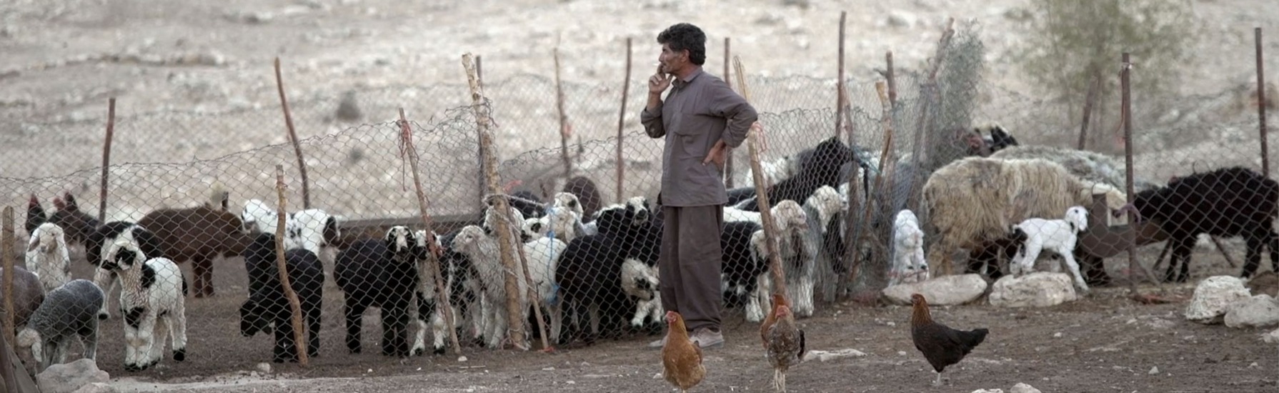 فتيات الريح